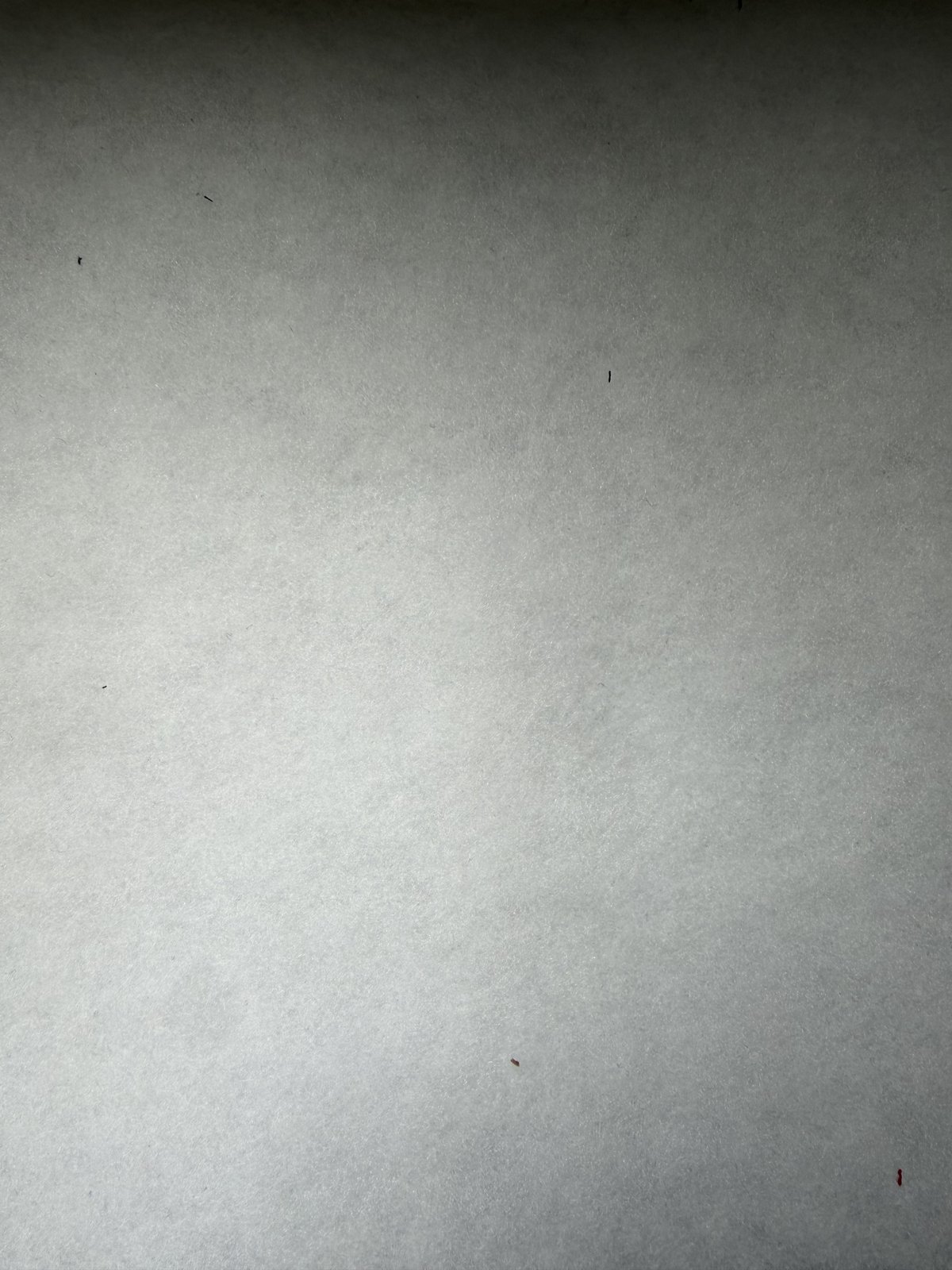 JY23030187 polyester wadding - 100%Polyester 250GSM